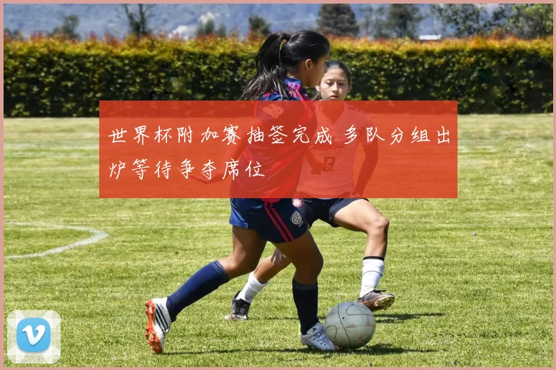 世界杯附加赛抽签完成 多队分组出炉等待争夺席位