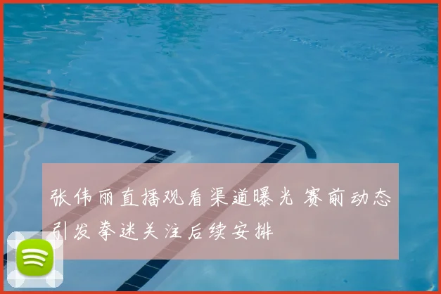 张伟丽直播观看渠道曝光 赛前动态引发拳迷关注后续安排