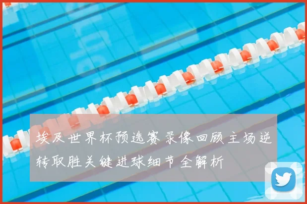 埃及世界杯预选赛录像回顾主场逆转取胜关键进球细节全解析