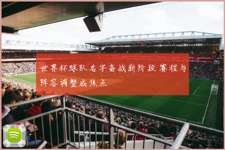 世界杯球队名字备战新阶段 赛程与阵容调整成焦点