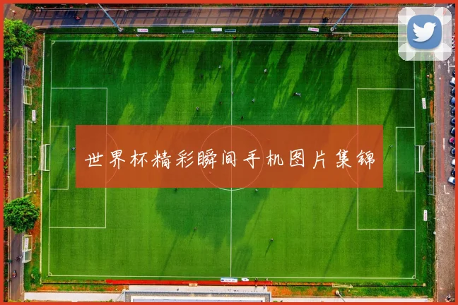 世界杯精彩瞬间手机图片集锦