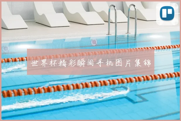 世界杯精彩瞬间手机图片集锦
