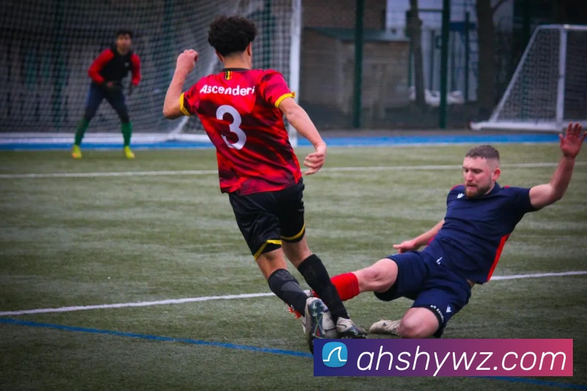 开云手机入口官网服务体系